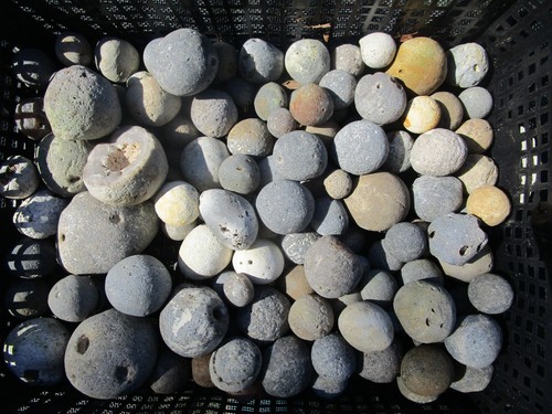 Fossile schwämme feuerstein - fossile, schwämme,