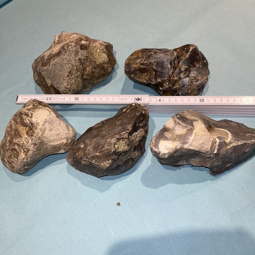Feuerstein flint ca - 5,