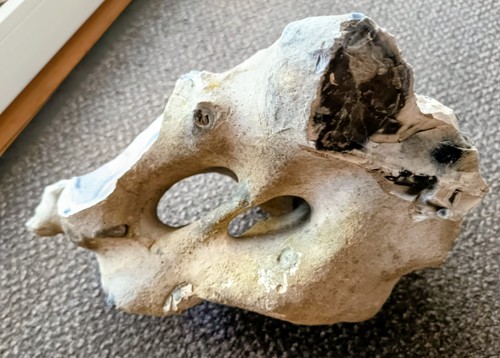 Flintstein kg flintstone - 8,1,